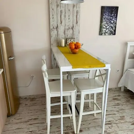 公寓 Charmful New Flat With Hill View 普罗夫迪夫