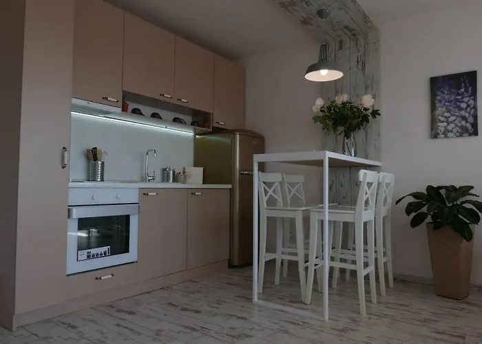 公寓 Charmful New Flat With Hill View 普罗夫迪夫